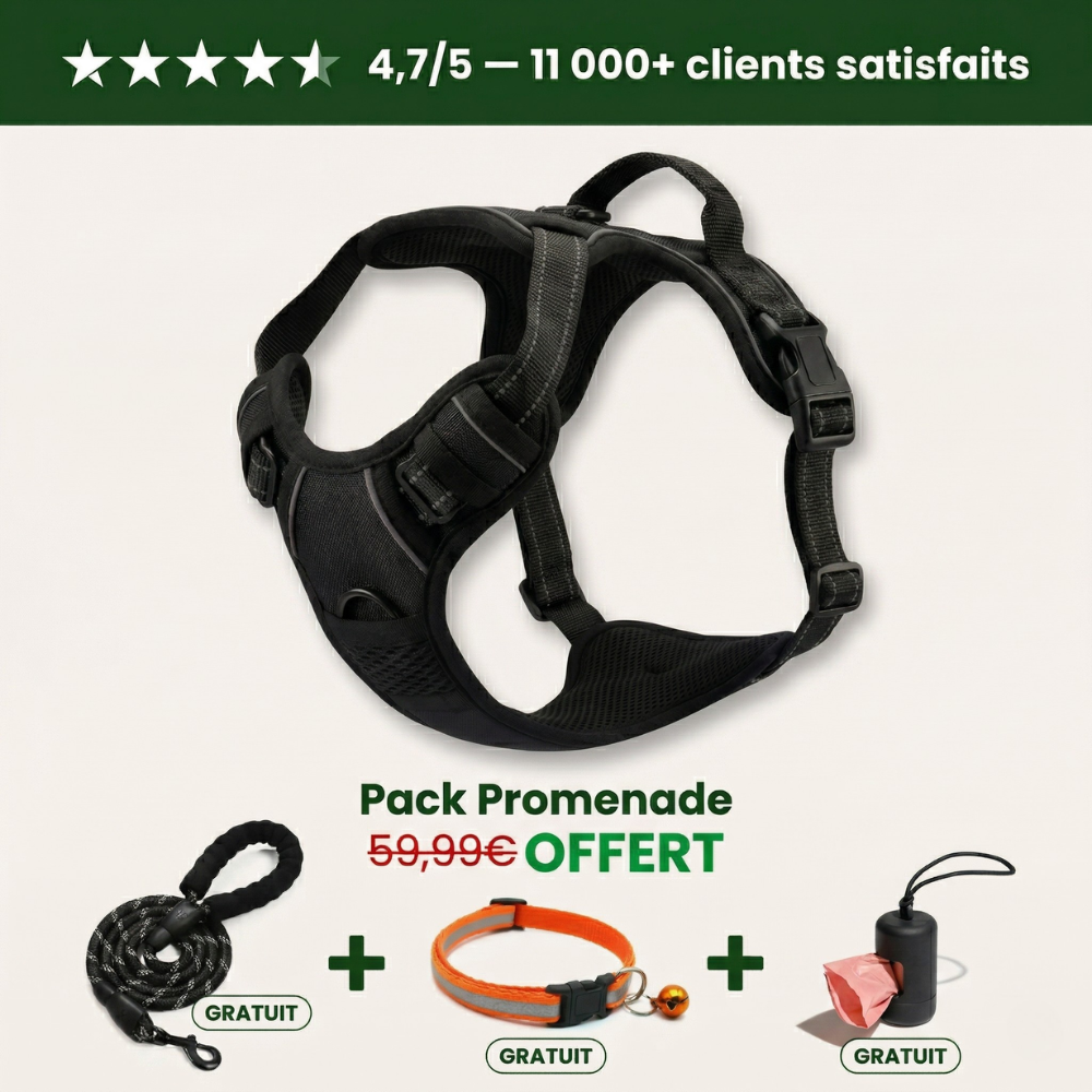 Harnais Anti-Traction PetLuna™