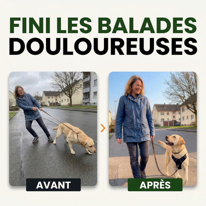 Harnais Anti-Traction PetLuna™