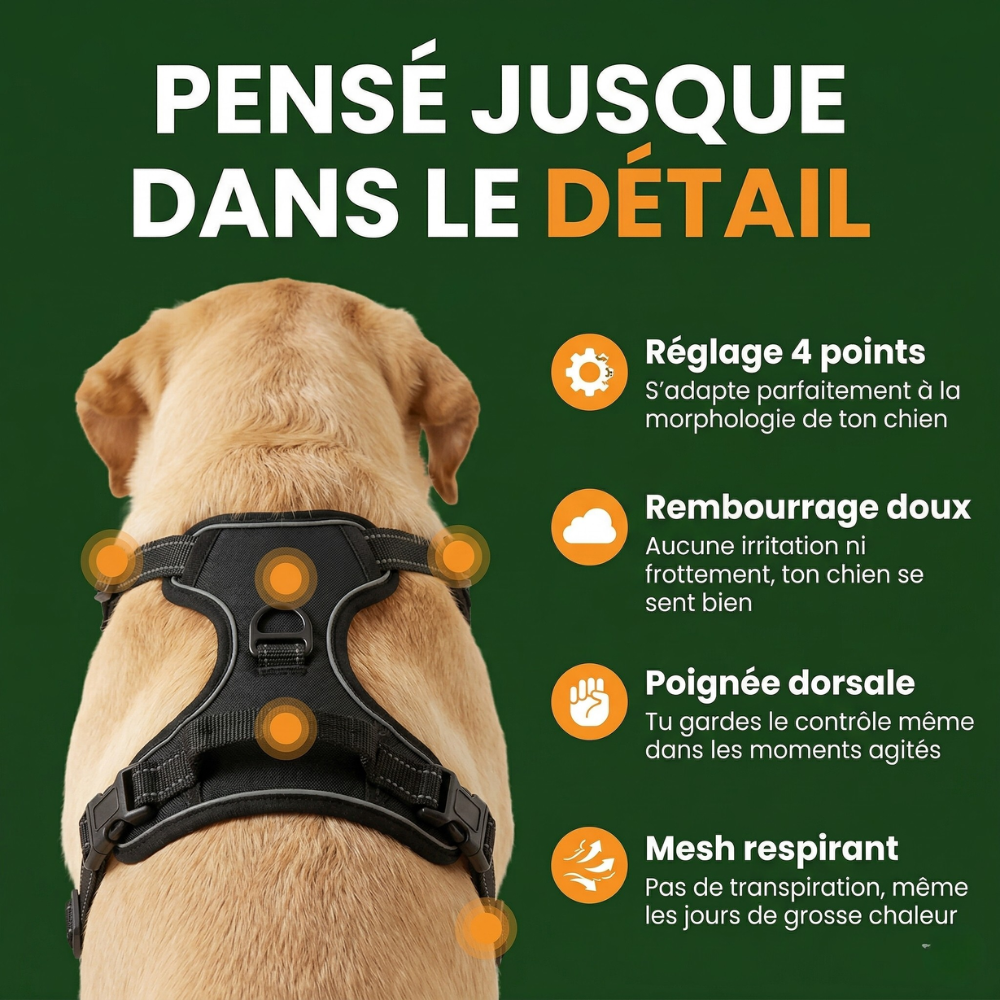 Harnais Anti-Traction PetLuna™