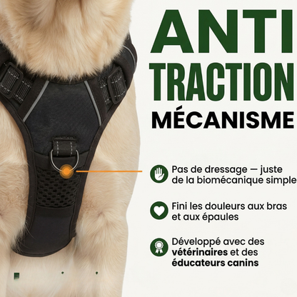 Harnais Anti-Traction PetLuna™